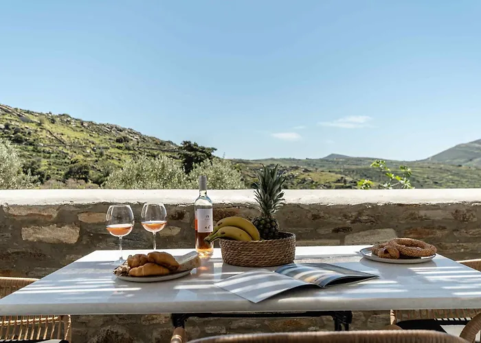 Ktima Drilli - Experience The Authentic Naxian Lifestyle Ferienhaus *